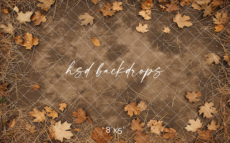 Autumn Leaves Pathway - HSD Photography Backdrops