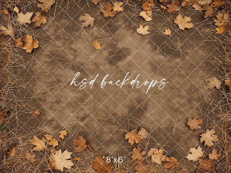 Autumn Leaves Pathway - HSD Photography Backdrops