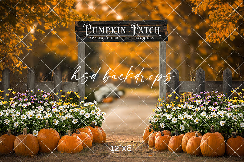 Pumpkin Patch Entrance (sweep options) - HSD Photography Backdrops