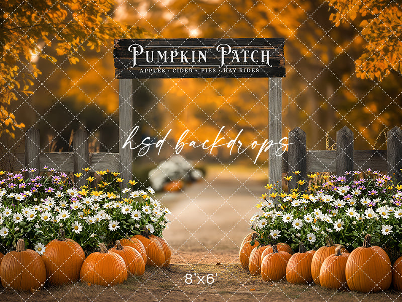Pumpkin Patch Entrance (sweep options) - HSD Photography Backdrops