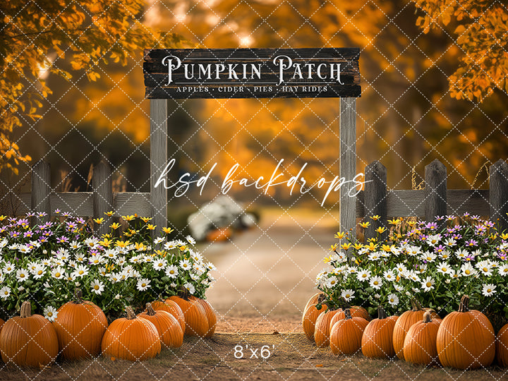 Pumpkin Patch Entrance (sweep options) - HSD Photography Backdrops