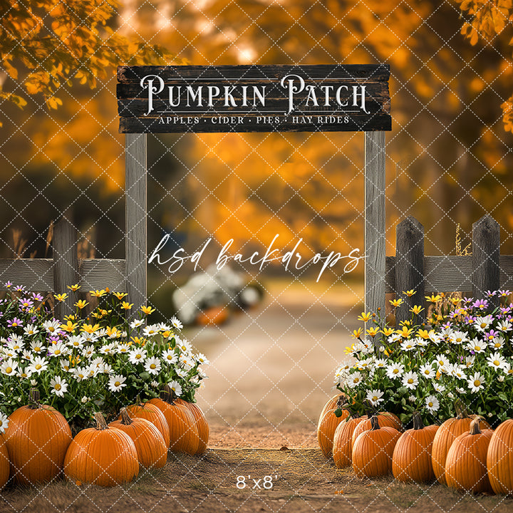 Pumpkin Patch Entrance (sweep options) - HSD Photography Backdrops