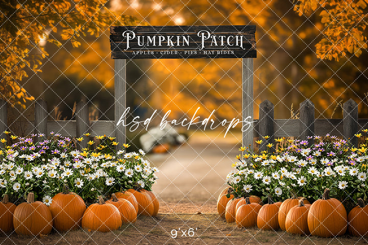 Pumpkin Patch Entrance (sweep options) - HSD Photography Backdrops