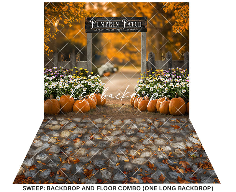 Pumpkin Patch Entrance (sweep options) - HSD Photography Backdrops