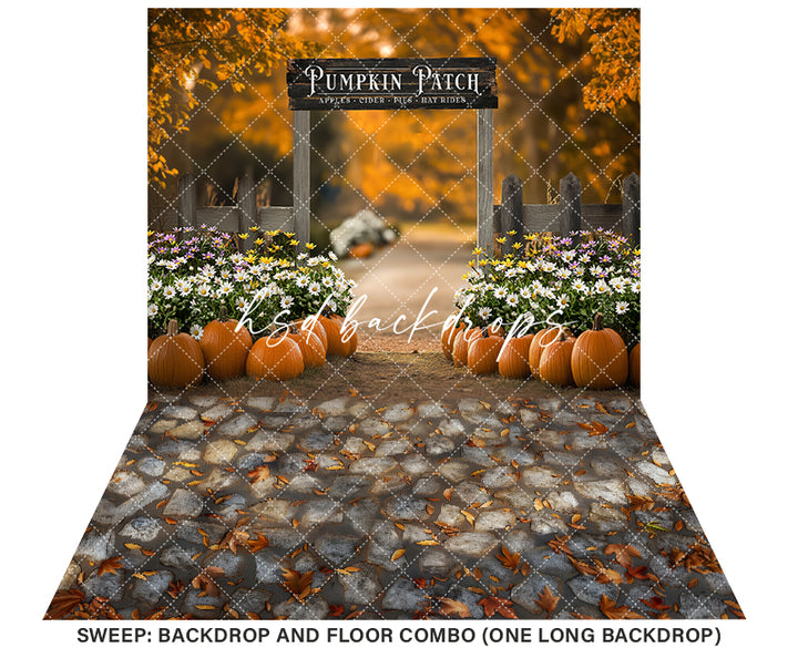 Pumpkin Patch Entrance (sweep options) - HSD Photography Backdrops