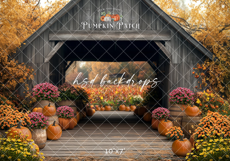 Pick Your Own Pumpkins (sweep options) - HSD Photography Backdrops