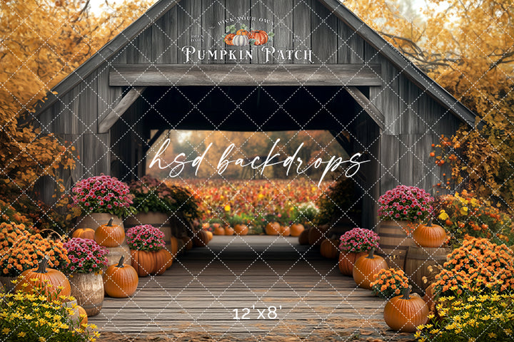Pick Your Own Pumpkins (sweep options) - HSD Photography Backdrops