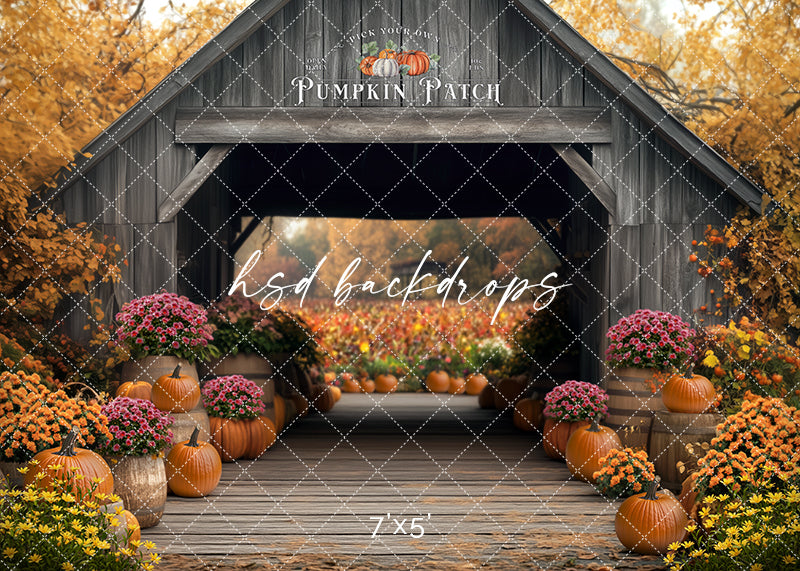 Pick Your Own Pumpkins (sweep options) - HSD Photography Backdrops