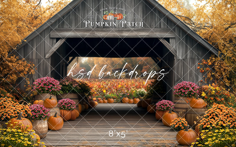 Pick Your Own Pumpkins (sweep options) - HSD Photography Backdrops