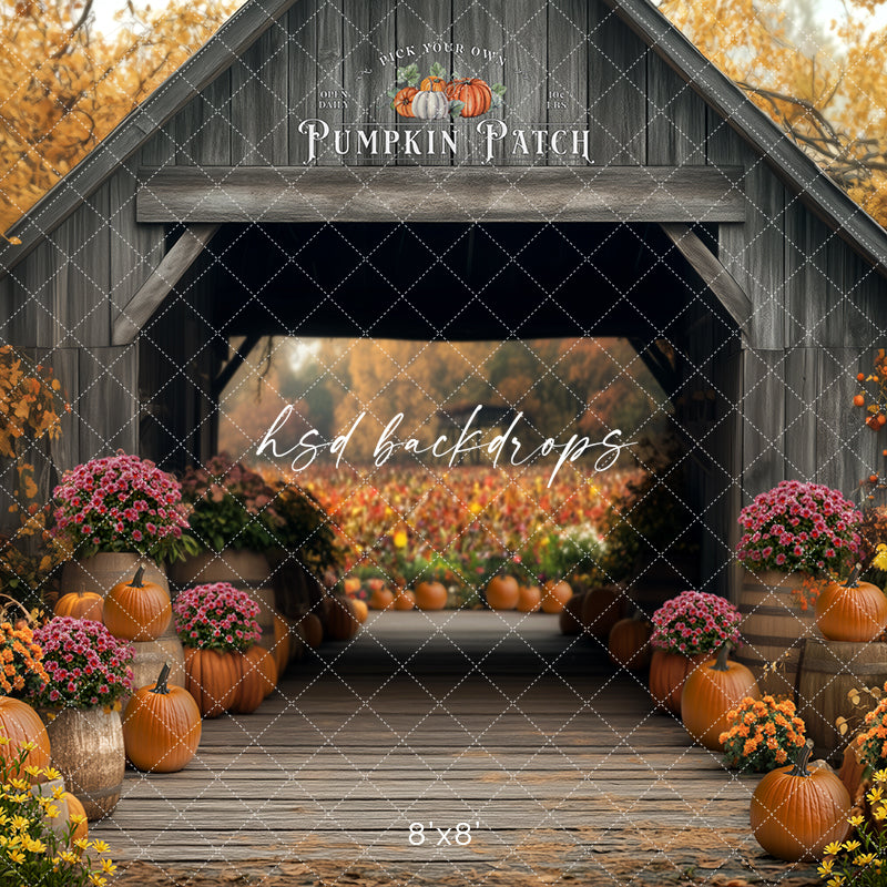 Pick Your Own Pumpkins (sweep options) - HSD Photography Backdrops
