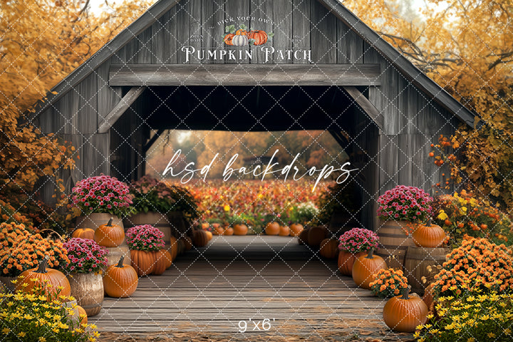 Pick Your Own Pumpkins (sweep options) - HSD Photography Backdrops