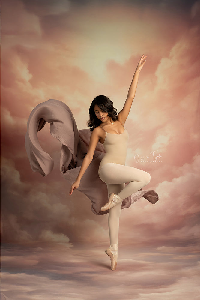 Cloudy Skies - Cotton candy Clouds - HSD Photography Backdrops