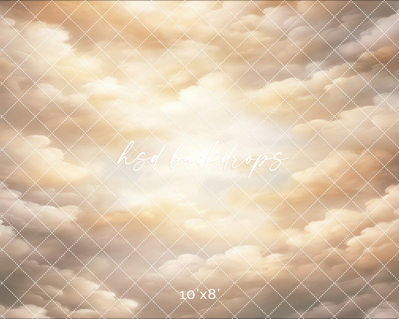 Cloudy Skies - Beige - HSD Photography Backdrops