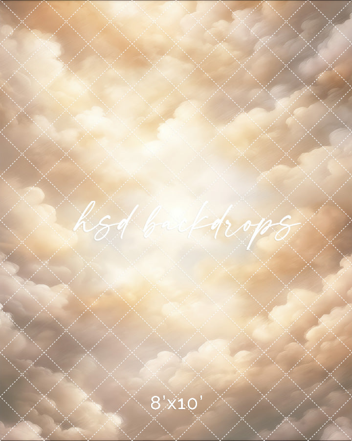 Cloudy Skies - Beige - HSD Photography Backdrops