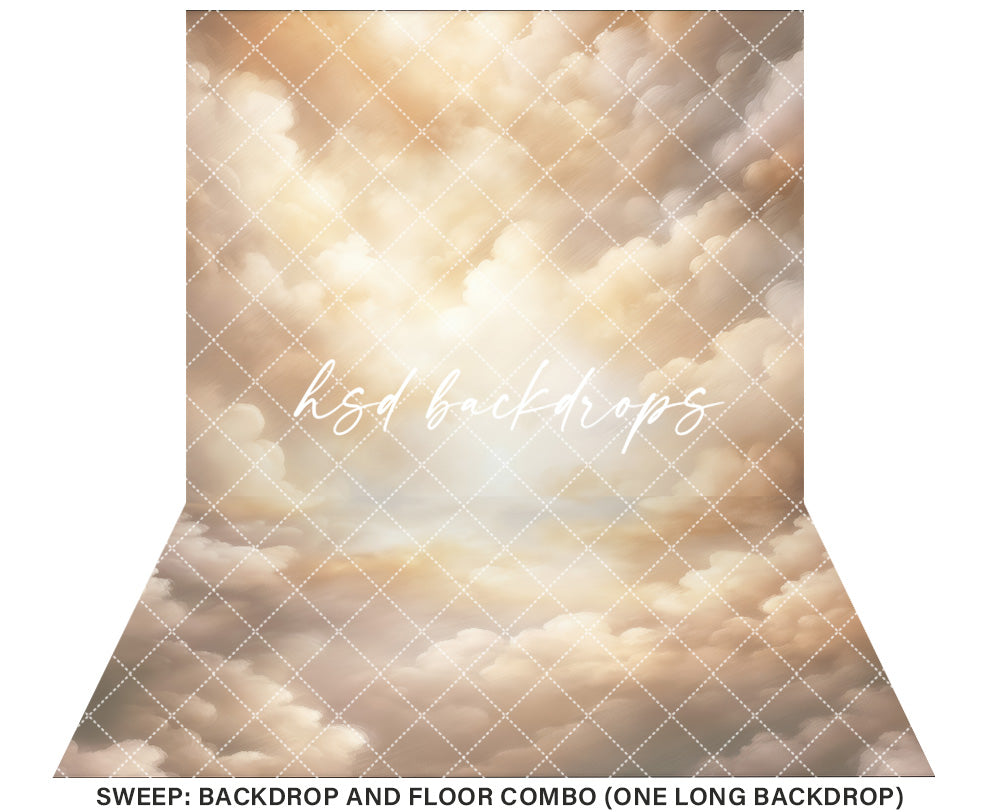 Cloudy Skies - Beige - HSD Photography Backdrops