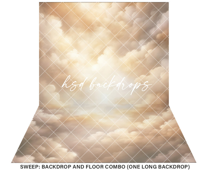 Cloudy Skies - Beige - HSD Photography Backdrops