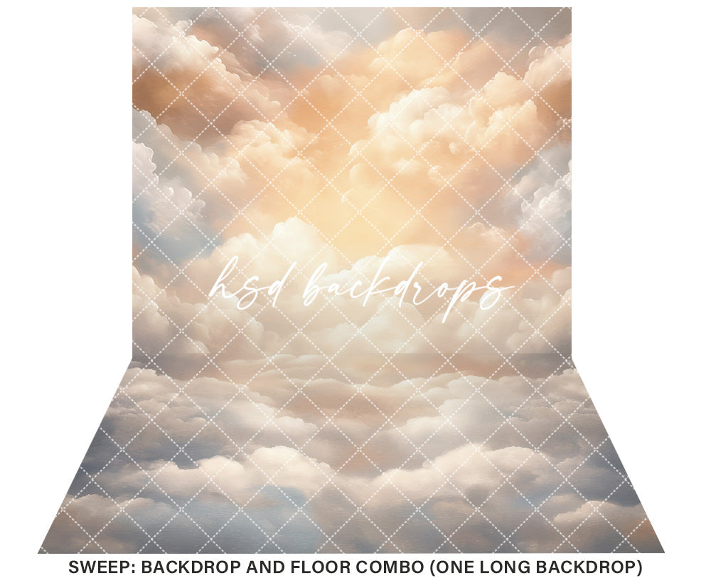 Cloudy Skies - Golden Hour - HSD Photography Backdrops