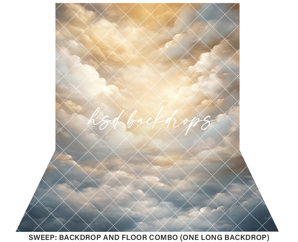 Cloudy Skies - Sunset - HSD Photography Backdrops