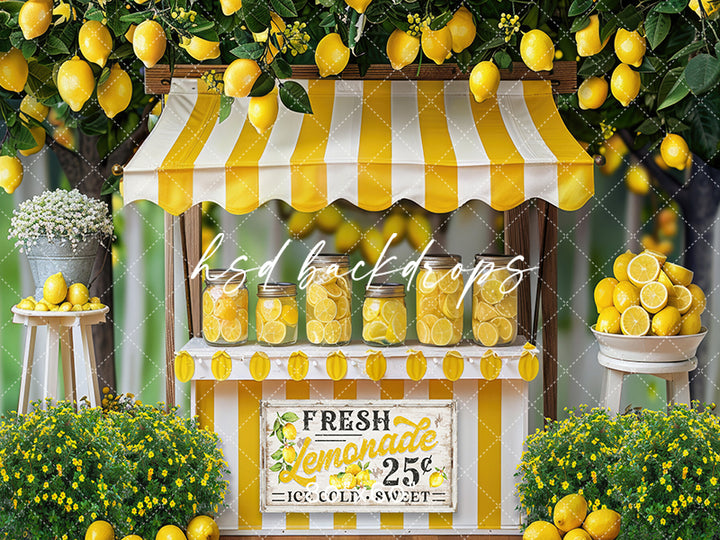 Lemonade Stand Backdrop for Summer Photoshoot