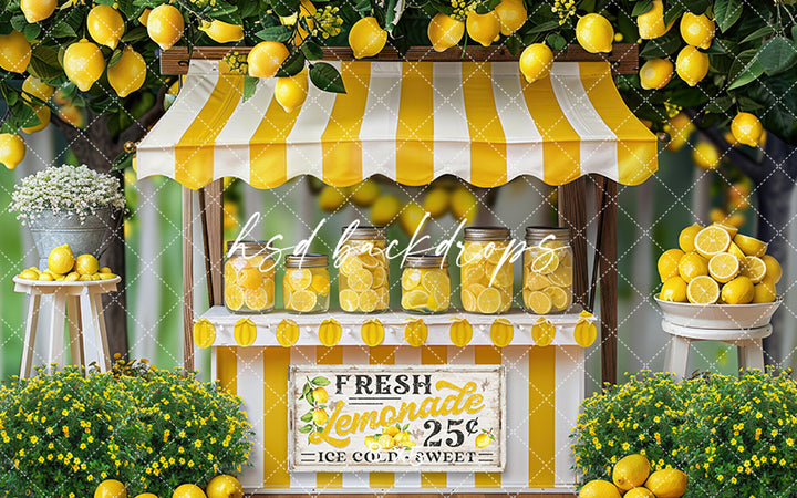 Fresh Lemonade Stand (sweep options) - HSD Photography Backdrops