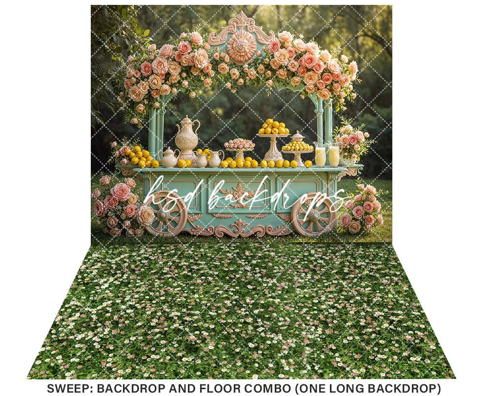 Regal Lemonade Cart (sweep options) - HSD Photography Backdrops