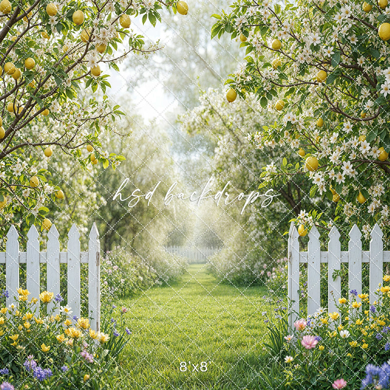 Citrus Sips Lemonade Stand Room - SMR43736 - HSD Photography Backdrops