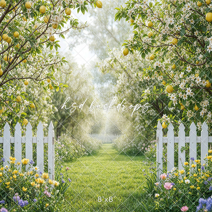 Citrus Sips Lemonade Stand Room - SMR43736 - HSD Photography Backdrops