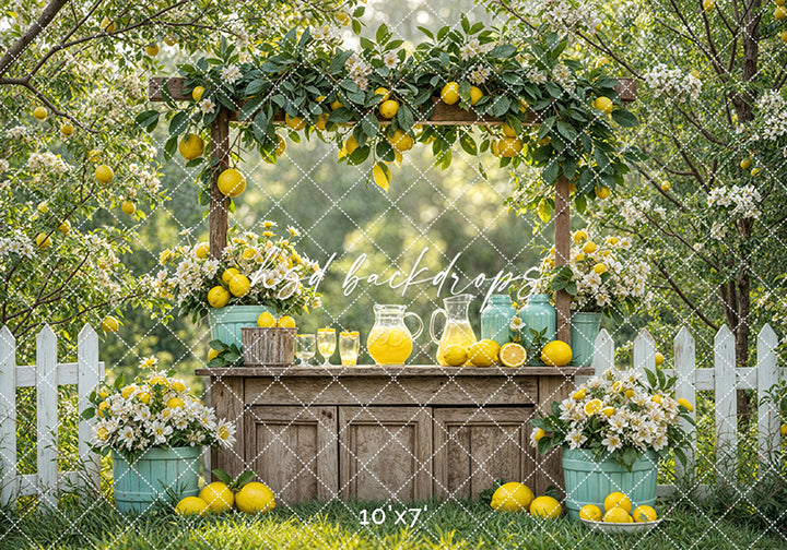 Citrus Sips Lemonade Stand (sweep options) - HSD Photography Backdrops