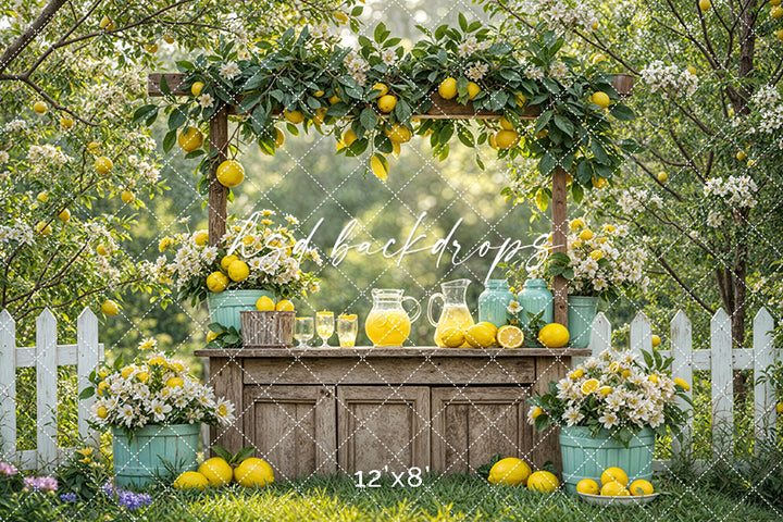 Citrus Sips Lemonade Stand (sweep options) - HSD Photography Backdrops