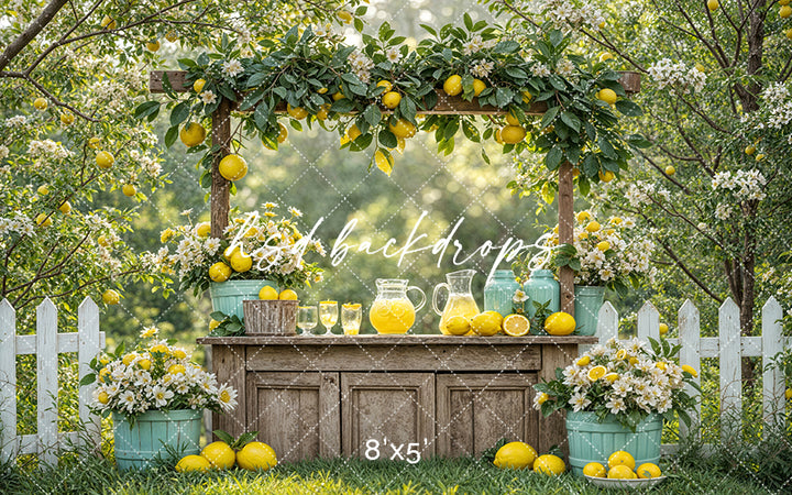 Citrus Sips Lemonade Stand (sweep options) - HSD Photography Backdrops