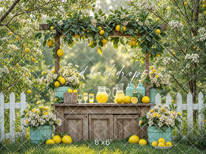 Citrus Sips Lemonade Stand (sweep options) - HSD Photography Backdrops