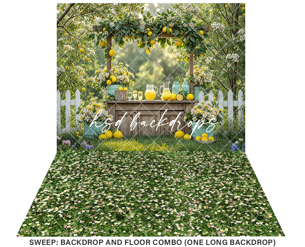 Citrus Sips Lemonade Stand (sweep options) - HSD Photography Backdrops