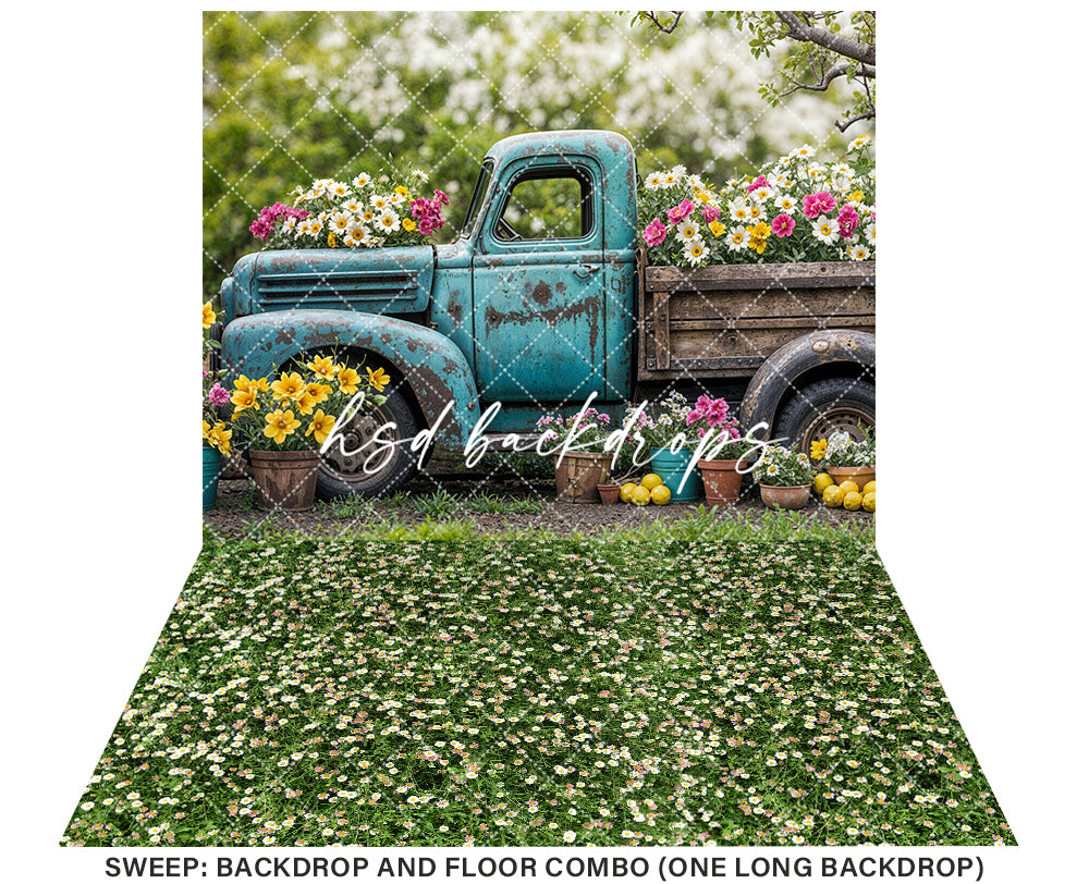 Blooming Vintage Truck (step options) - HSD Photography Backdrops