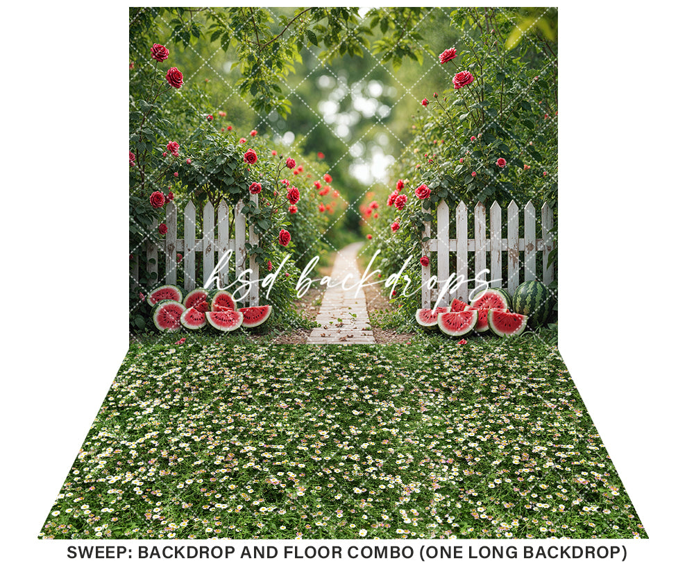 Sweet Slice Watermelon Patch (sweep options) - HSD Photography Backdrops