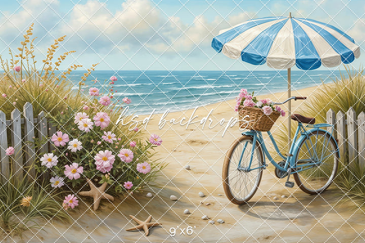 Beach Stroll (sweep options) - HSD Photography Backdrops