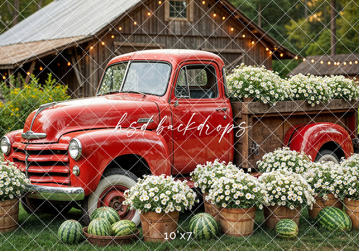 Watermelon Farm (sweep options) - HSD Photography Backdrops