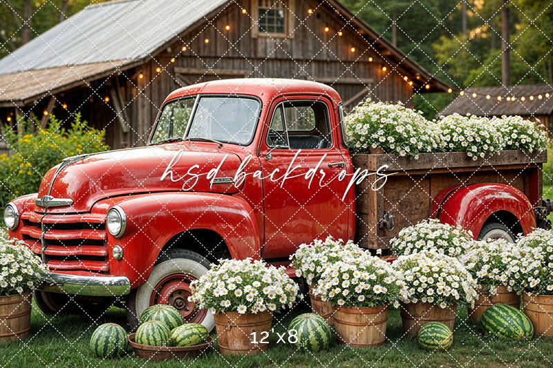 Watermelon Farm (sweep options) - HSD Photography Backdrops