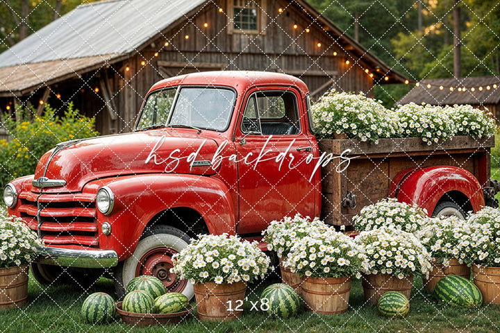 Watermelon Farm (sweep options) - HSD Photography Backdrops