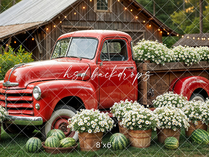 Watermelon Farm (sweep options) - HSD Photography Backdrops