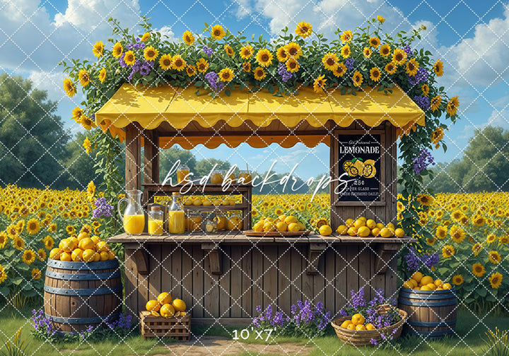 Lavender and Lemonade (sweep options) - HSD Photography Backdrops