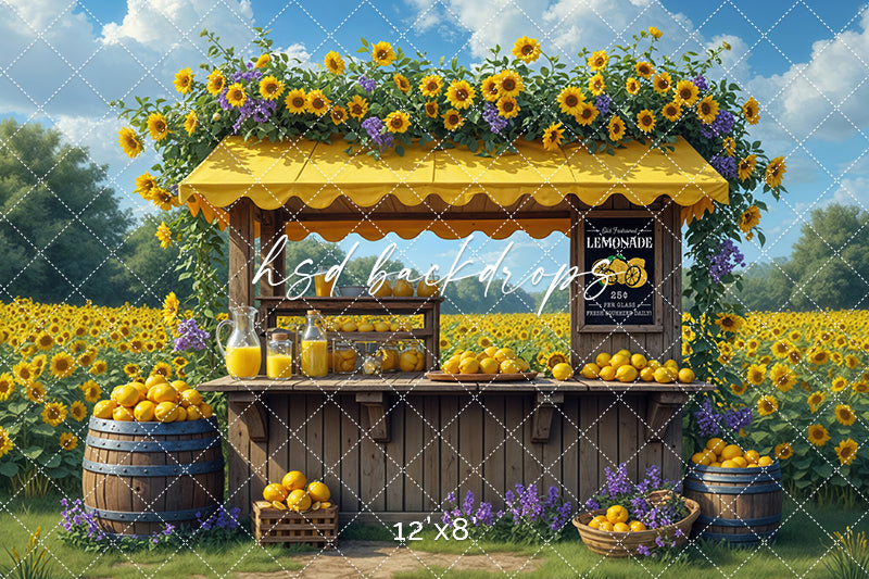 Lavender and Lemonade (sweep options) - HSD Photography Backdrops