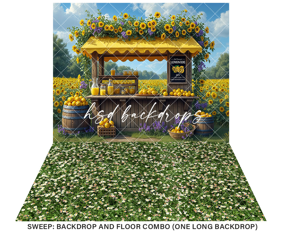 Lavender and Lemonade (sweep options) - HSD Photography Backdrops