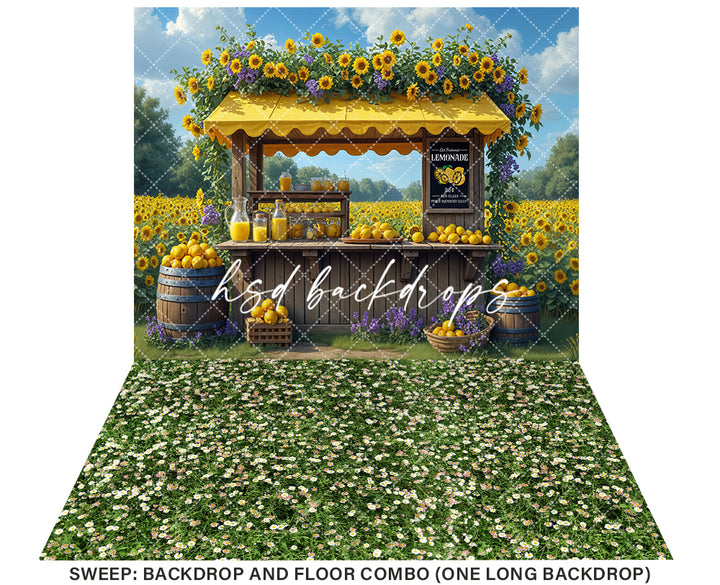 Lavender and Lemonade (sweep options) - HSD Photography Backdrops