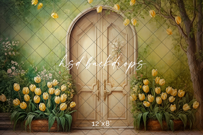 Antique Spring Door (sweep options) - HSD Photography Backdrops