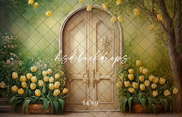 Antique Spring Door (sweep options) - HSD Photography Backdrops