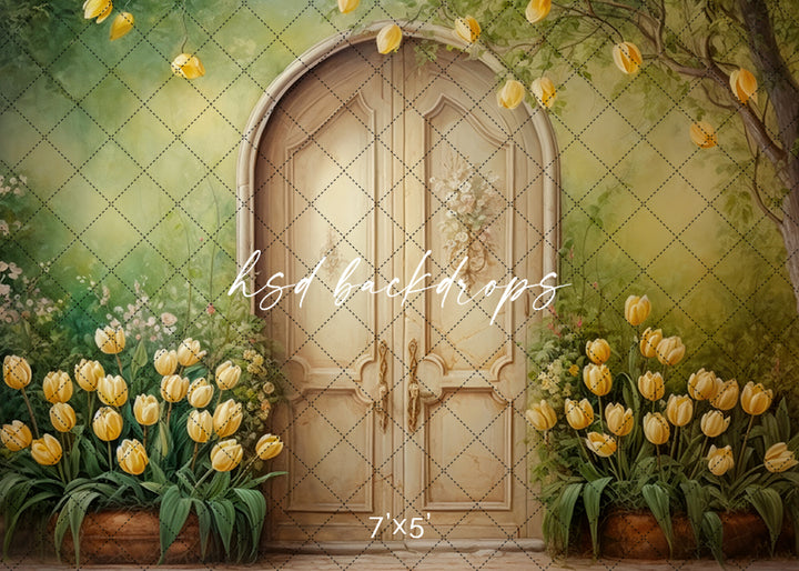 Antique Spring Door (sweep options) - HSD Photography Backdrops