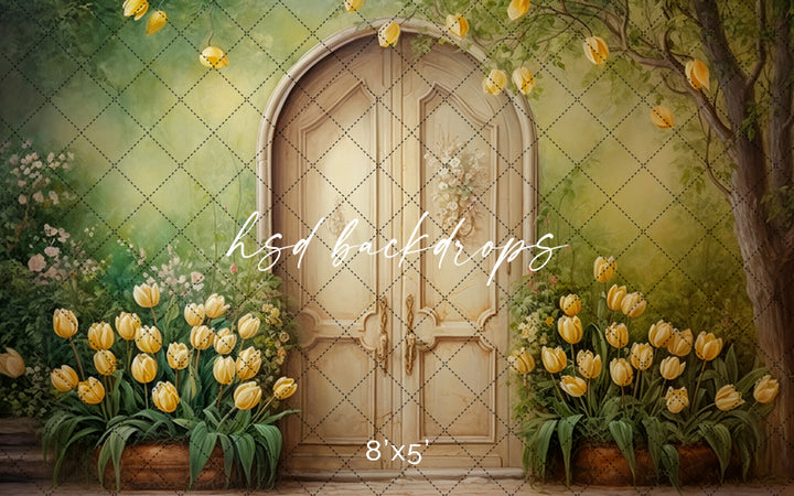 Antique Spring Door (sweep options) - HSD Photography Backdrops