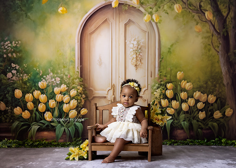 Antique Spring Door (sweep options) - HSD Photography Backdrops