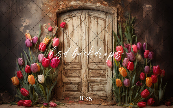 Rustic Spring Door - HSD Photography Backdrops