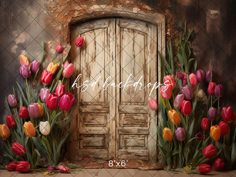 Rustic Spring Door - HSD Photography Backdrops